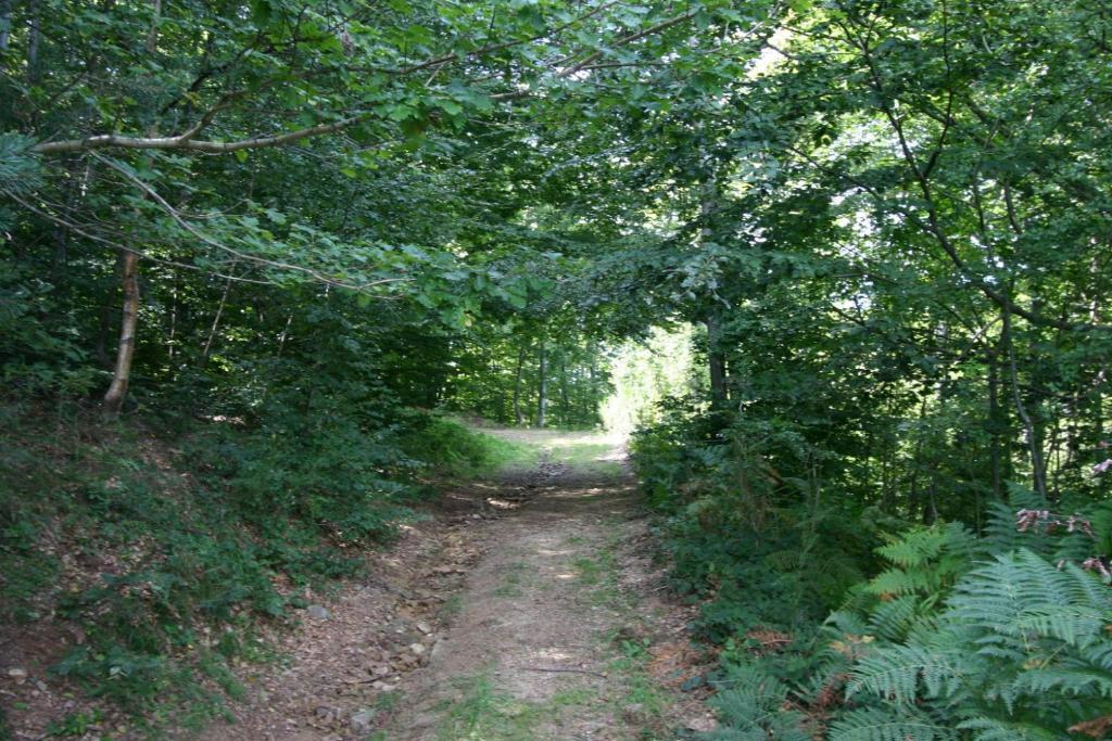 Maison Mauro Prats-de-Mollo-la-Preste Zewnętrze zdjęcie